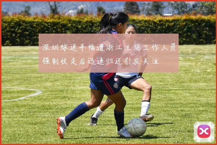 深圳球迷手幅遭浙江主场工作人员强制收走后迅速归还引发关注